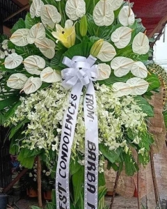 Anthuriums, lilies & orchids Arrangement